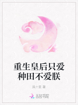 d是什么意思和含义